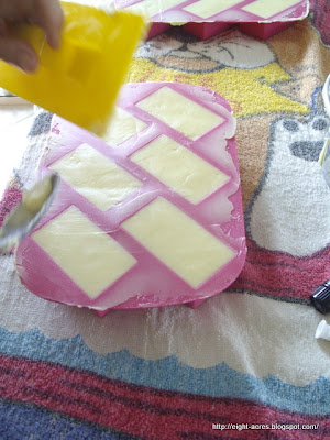 eight acres: making tallow soap