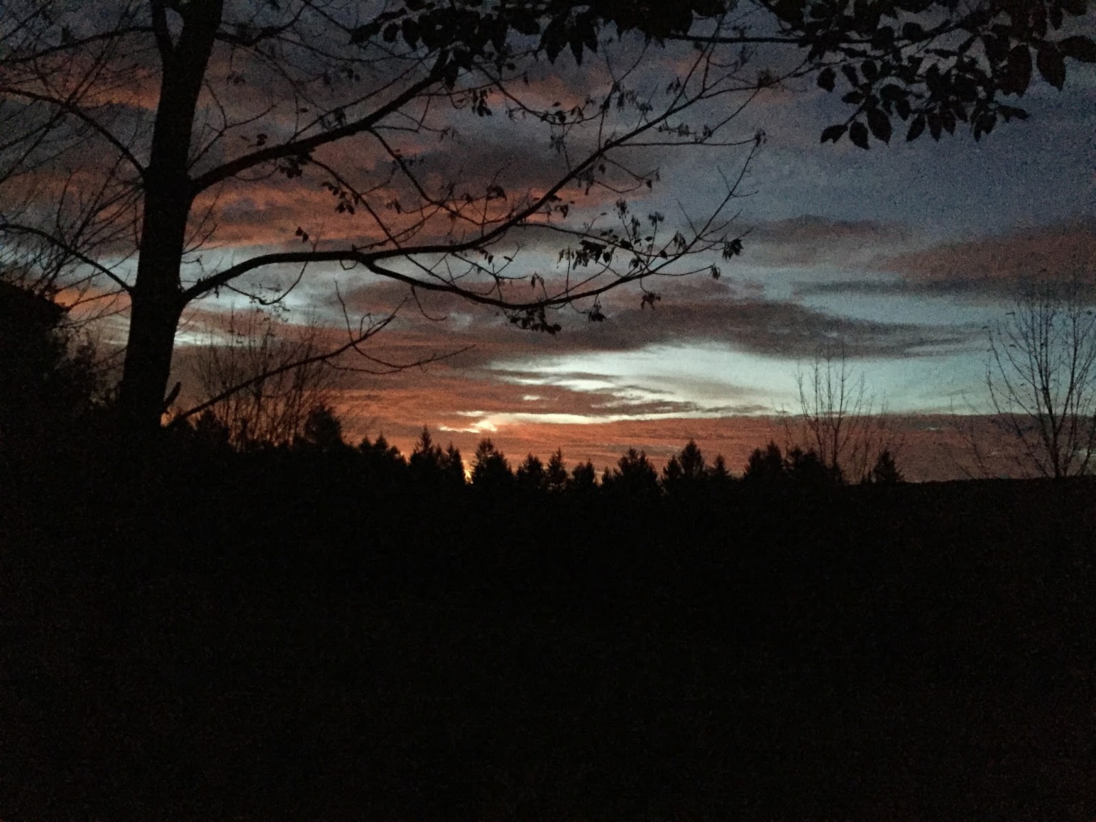 Cotton Hill Creamery