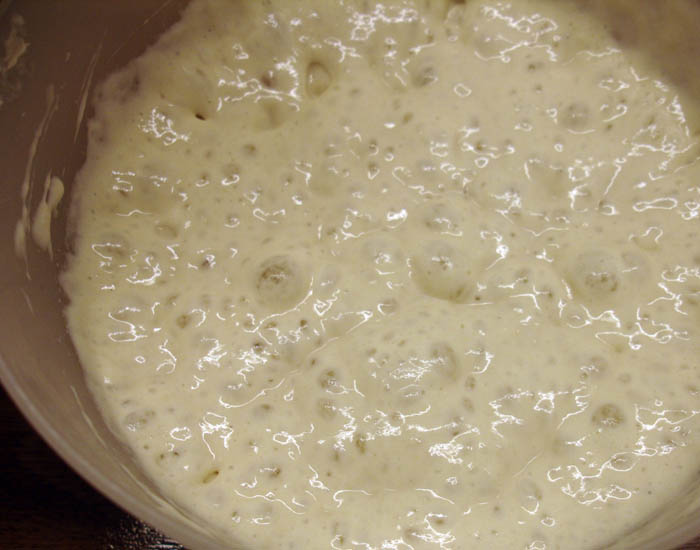 A Thick Yeast Cake And No Alcohol Brewing A Thick Yeast Cake And No Alcohol Brewing