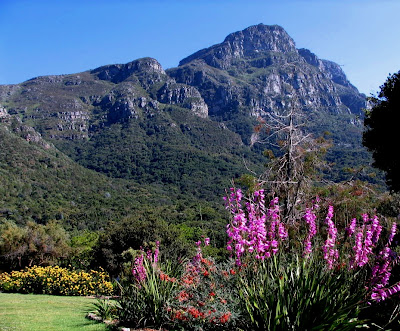 Kirstenbosch, MEI Conferences