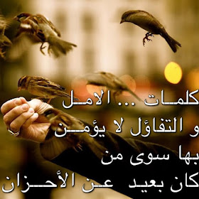 صور فيها اجمل الكلمات المعبرة