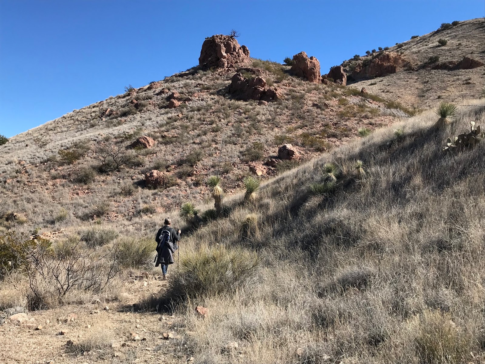 Southern New Mexico Explorer Cedar Hills Walkabout Organ Mountains