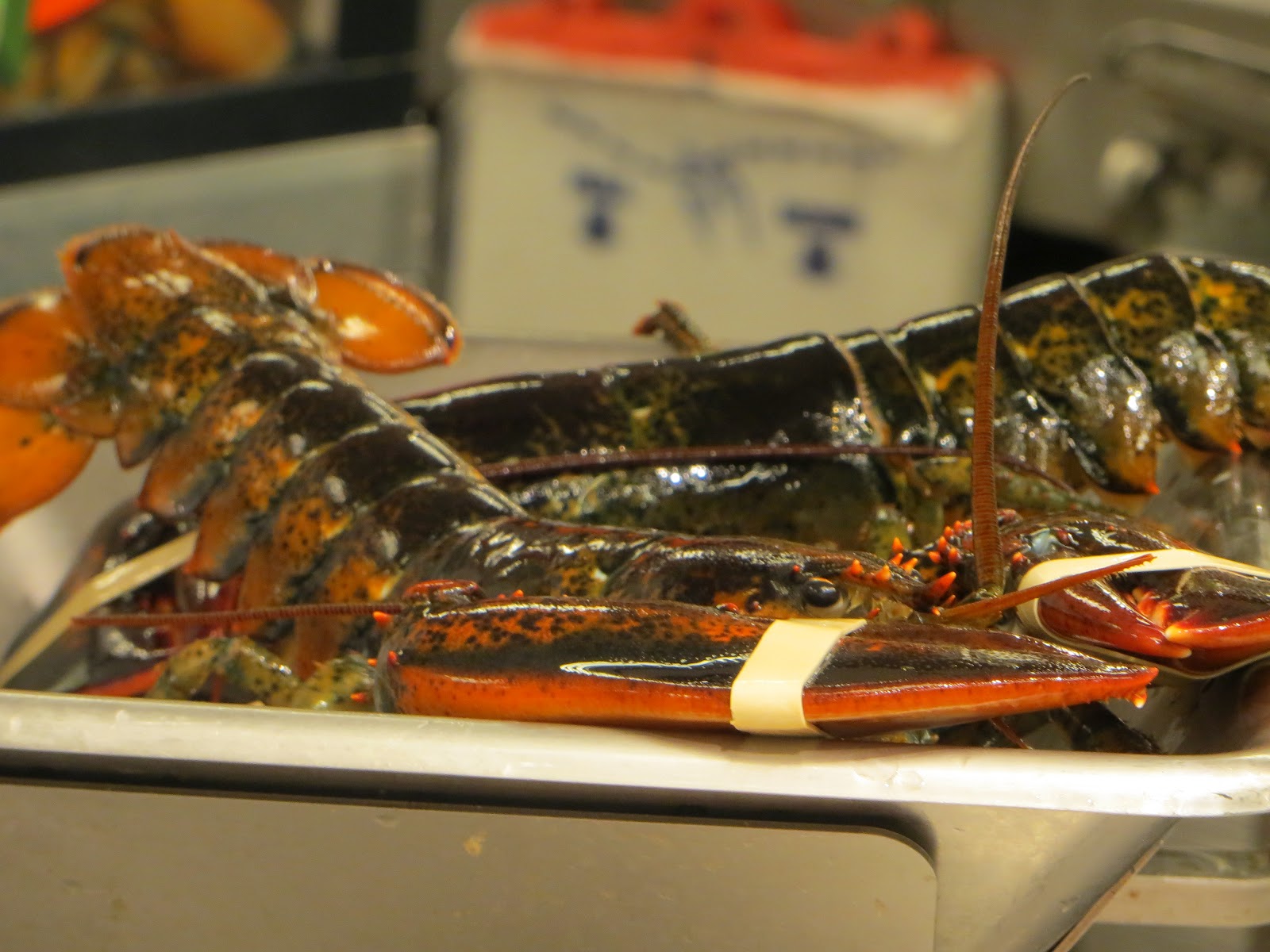 gastronomic nomad A New AllAmerican Eat Lobster Roll Hot Dog