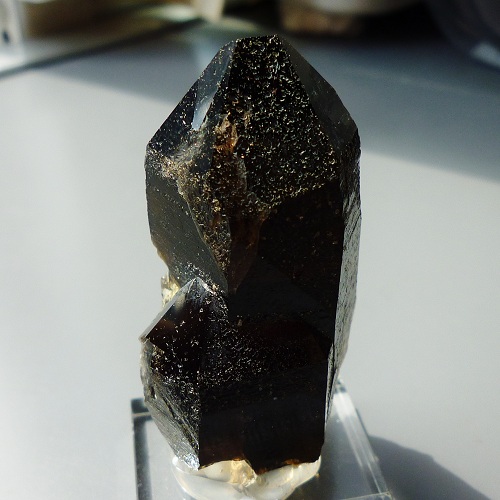 無人島に持っていきたい鉱物: モリオン（蛭川産黒水晶）