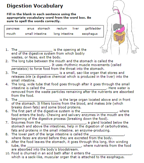 Writing instructions year 4 image