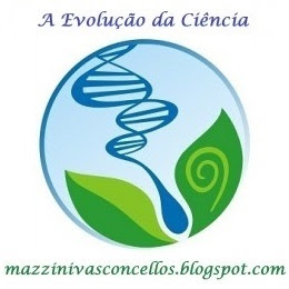 Blog Profª Adriana Vasconcelos