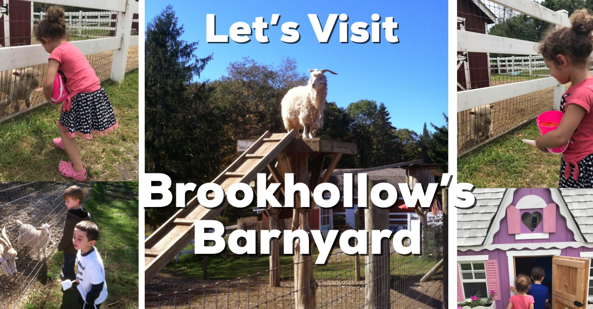 Let S Visit Brookhollow S Barnyard In Boonton Township Nj The