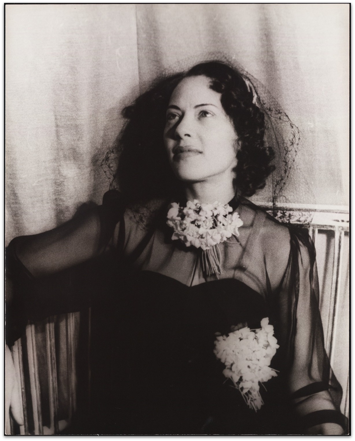 Brown Sugar: Over 80 Years of America's Black Female Superstars: Fredi ...