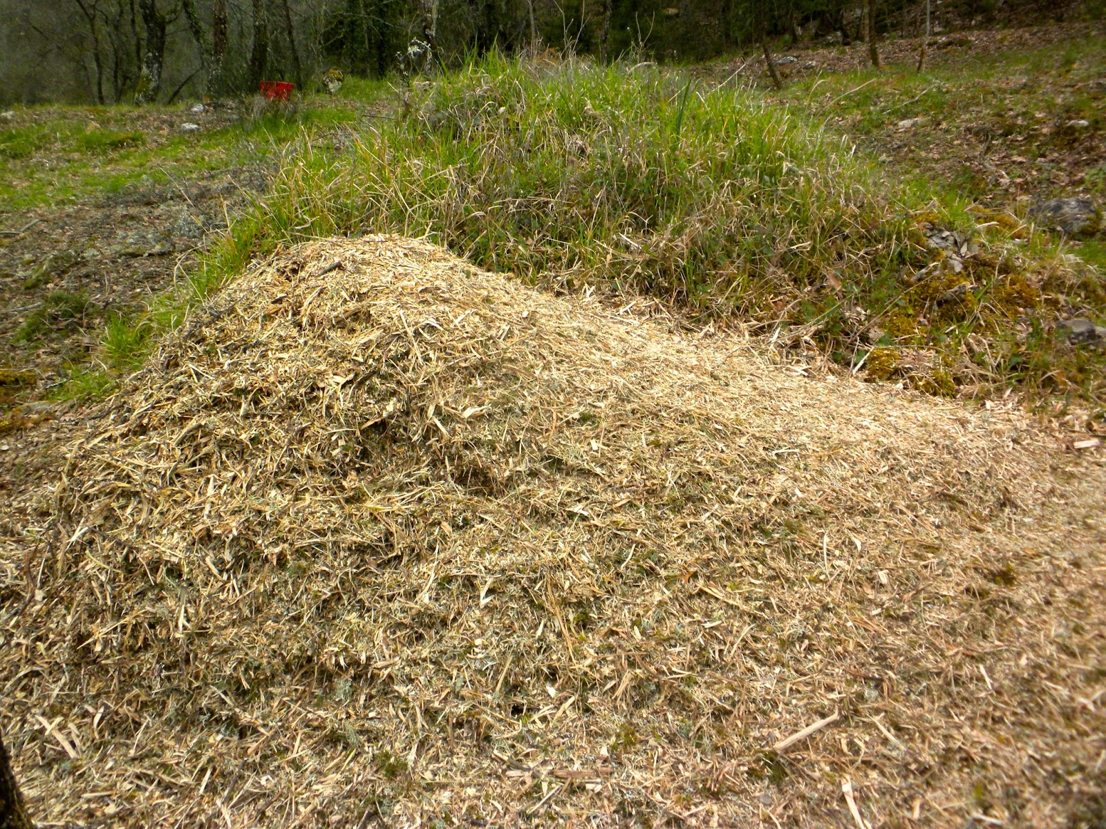 From a Tuscan Hillside Mulch marvellous mulch