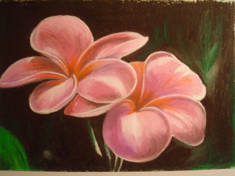 Flowers In Oil Pastels