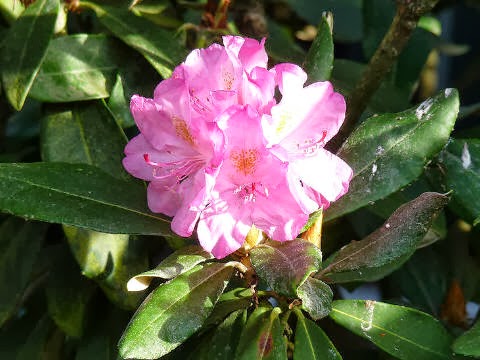 Dies Und Das Vom Neckarstrand Oktober 2013