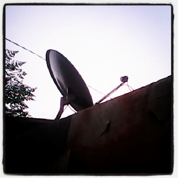 CIGNAL DIGITAL TV REVIEW PAL RAINE