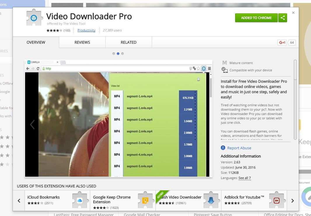 Got downloader. Загрузчик видео. Video downloader professional. Приложение "Flash Video downloader"