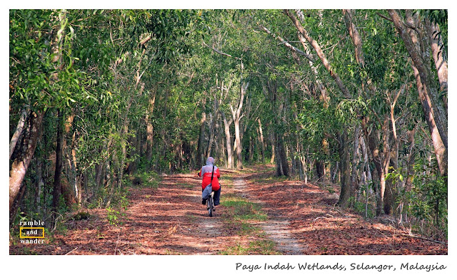 #TSDayOut 2016 Discover Selangor | Paya Indah Wetlands | Ramble and Wander