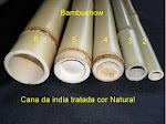 Bambu Cana da India  Tratado - Cor Natural