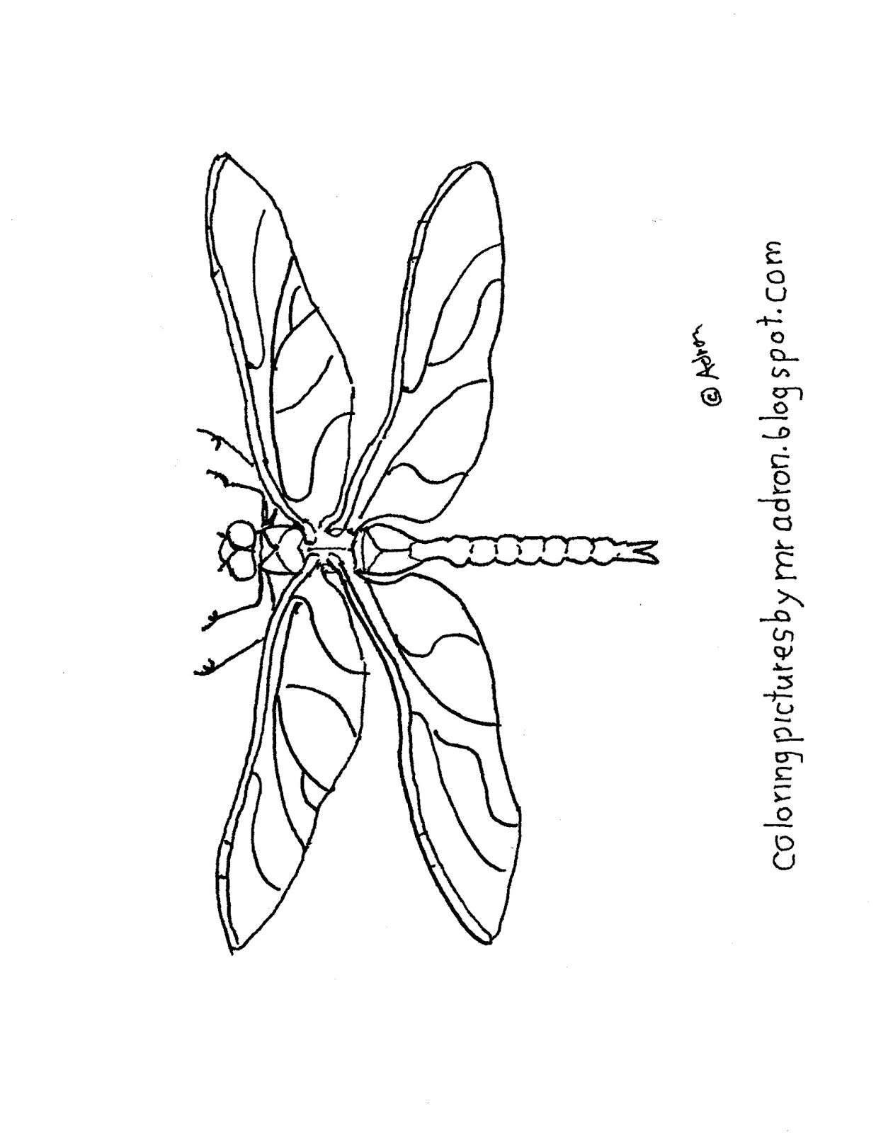 Coloring Pages for Kids by Mr. Adron: Printable Simple Dragonfly