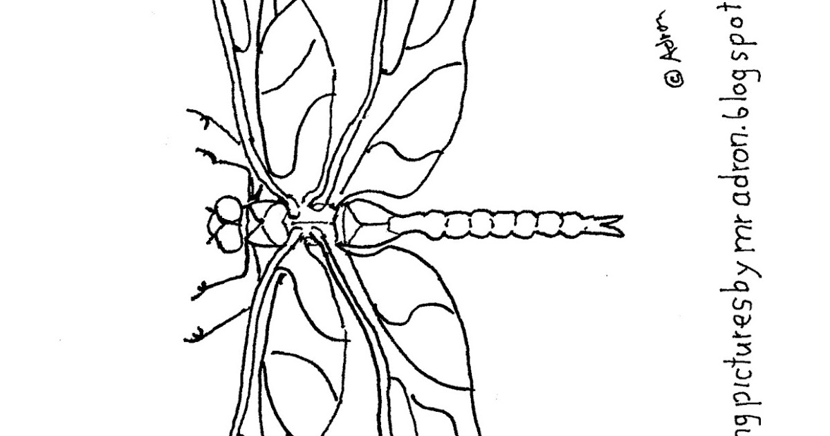 Coloring Pages for Kids by Mr. Adron: Printable Simple Dragonfly