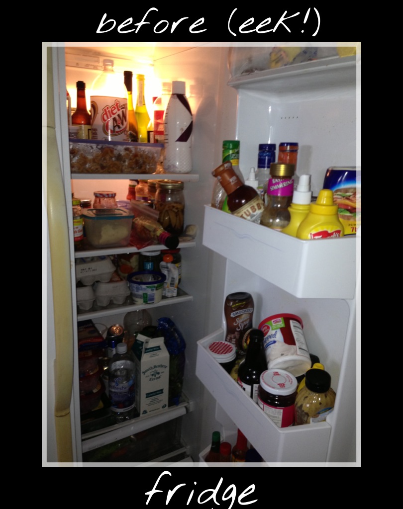 simple shoe box The Fridge / The Freezer