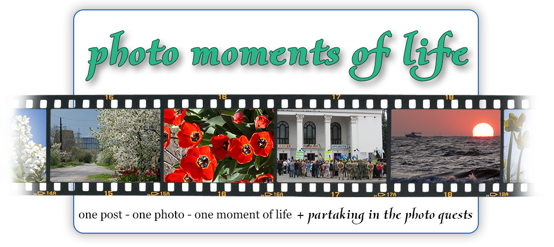 Photo moments of life
