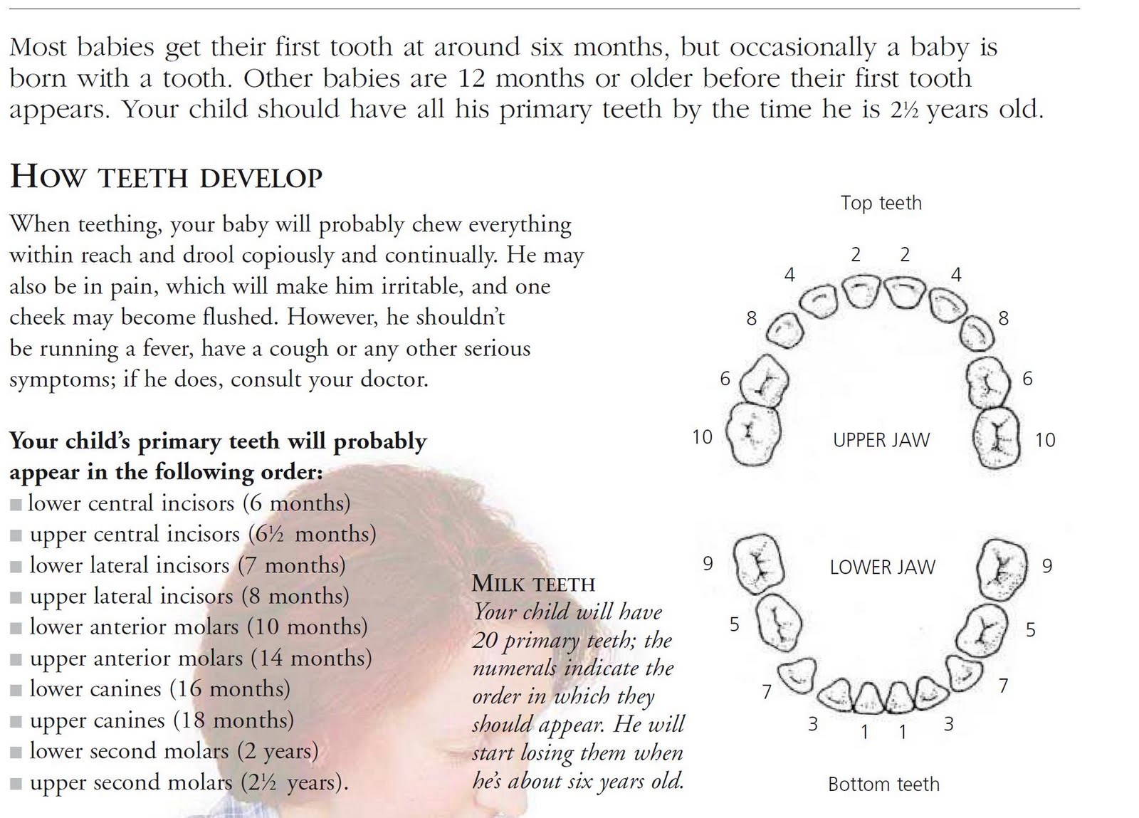 Baby teeth development Parents and Child health care