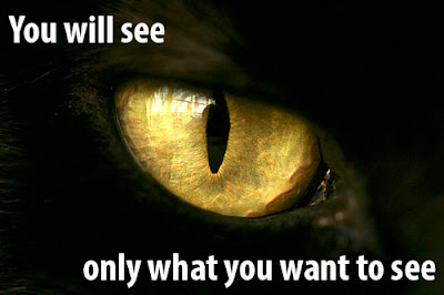 you only see what you want to see, cat's eye. the all seeing eye. illuminati, one eye. 