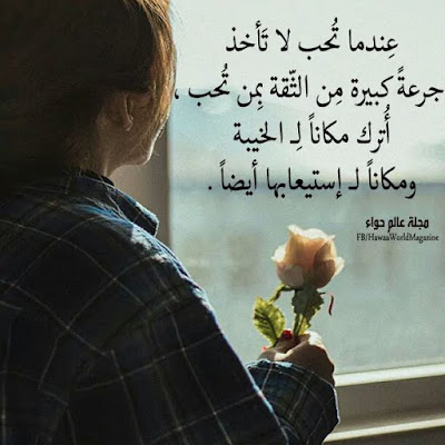 shof_2f7200e4ebc5035
