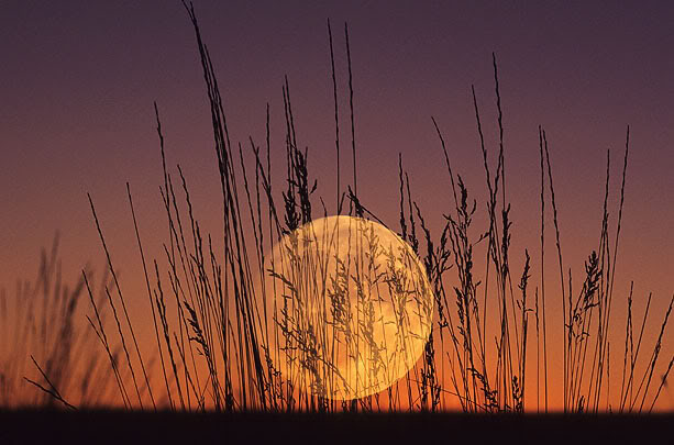 Resultado de imagen de ode al otoño