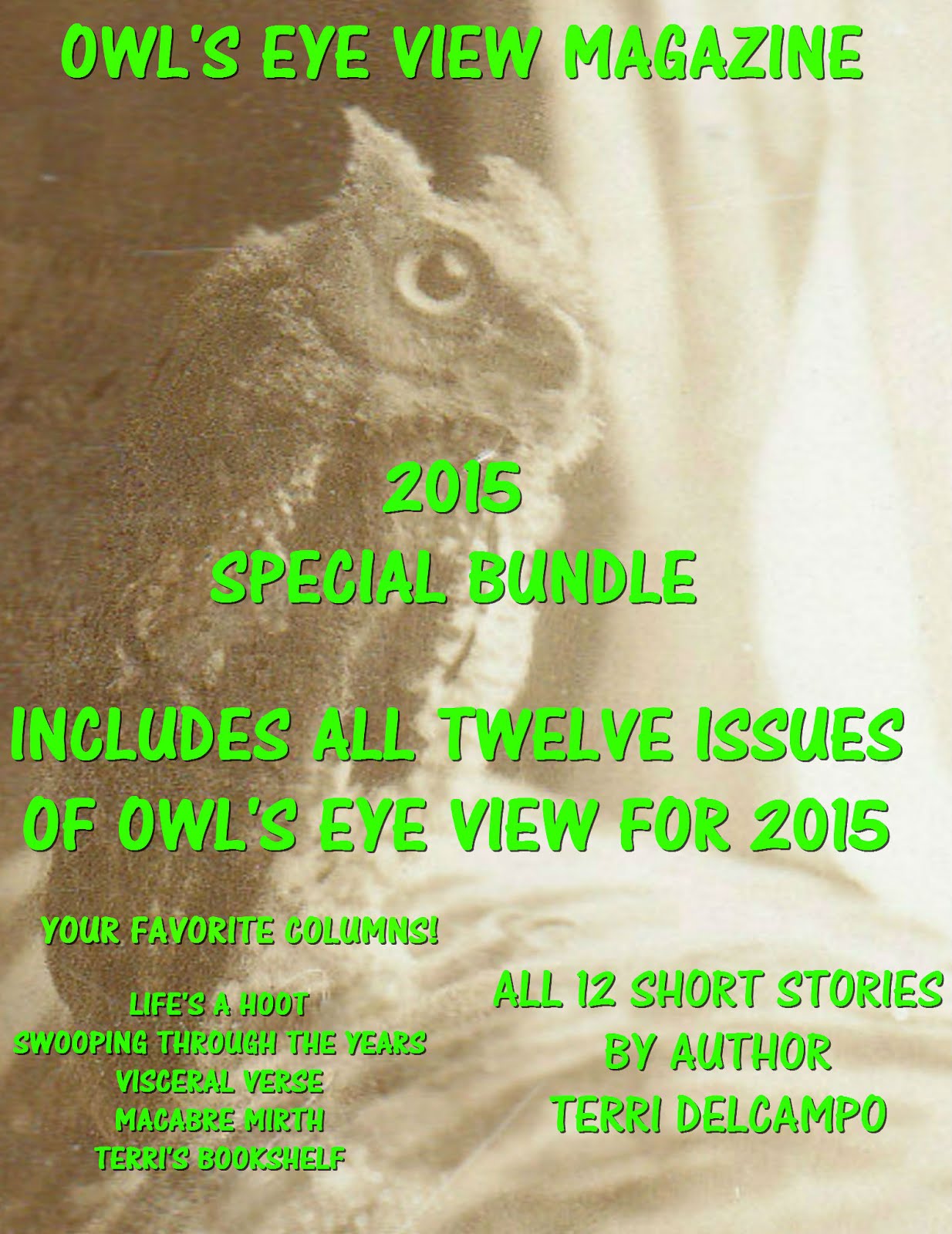 Owl's Eye View Magazine 2015 Bundle