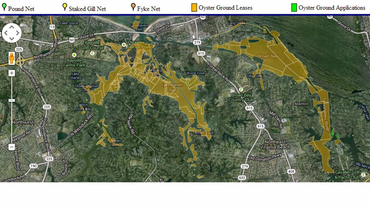 Lynnhaven River NOW The Mystery of Oyster PlotsHow Can I Grow My Own