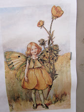 The Buttercup Fairy