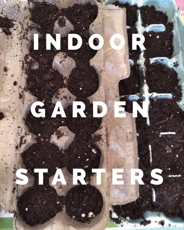 Use a recycled egg carton to start your seeds indoors! Plant them in your garden once they have become established.