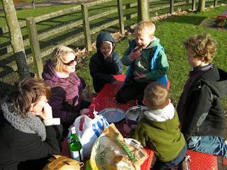 homemade cakes as food supplement in park picnic