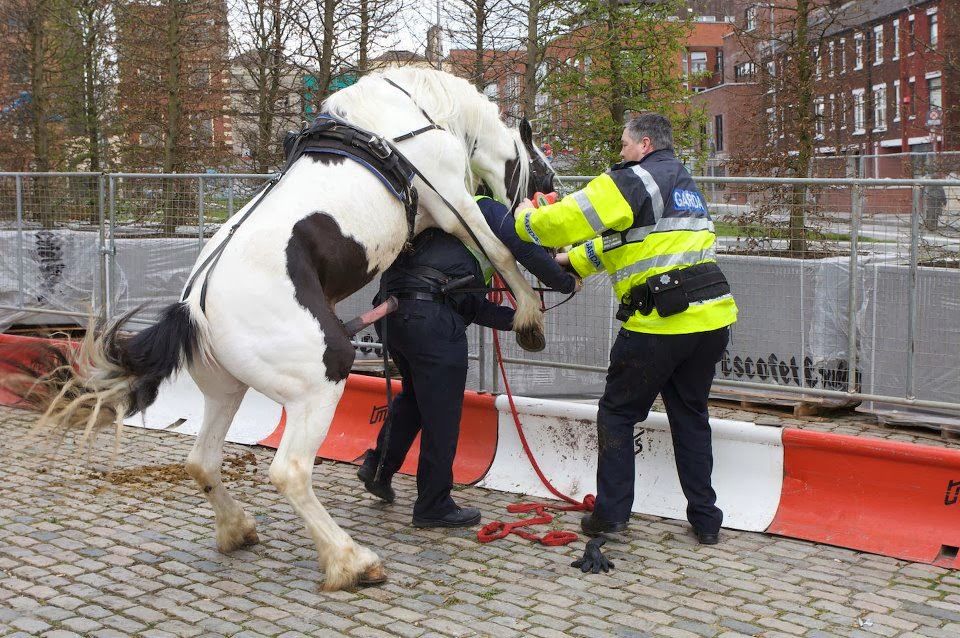 Mounted%2BPolice-736725.jpg