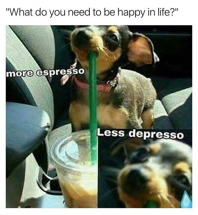 What Do You Need To Be Happy In Life More Espresso Less Depresso What Do You Need To Be Happy In Life More Espresso Less Depresso