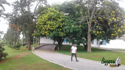 Execução do calçamento com pedra tipo pedrisco nas ruas da sede da fazenda com as muretas de pedra com folhetinha de paralelepípedo rachado.