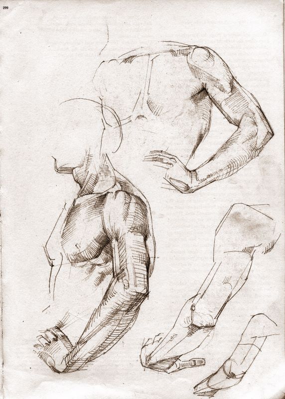 Готтфрид баммес изображение фигуры человека