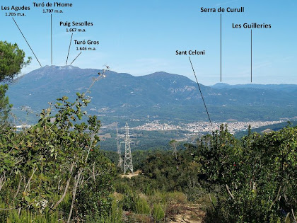 El Vallès i el Montseny des de la línia d'alta tensió de Sant Celoni a Mataró
