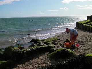 eastney nudist beach in front of fort cumberland