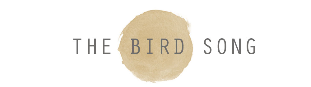 the bird song - uk lifestyle and beauty blog