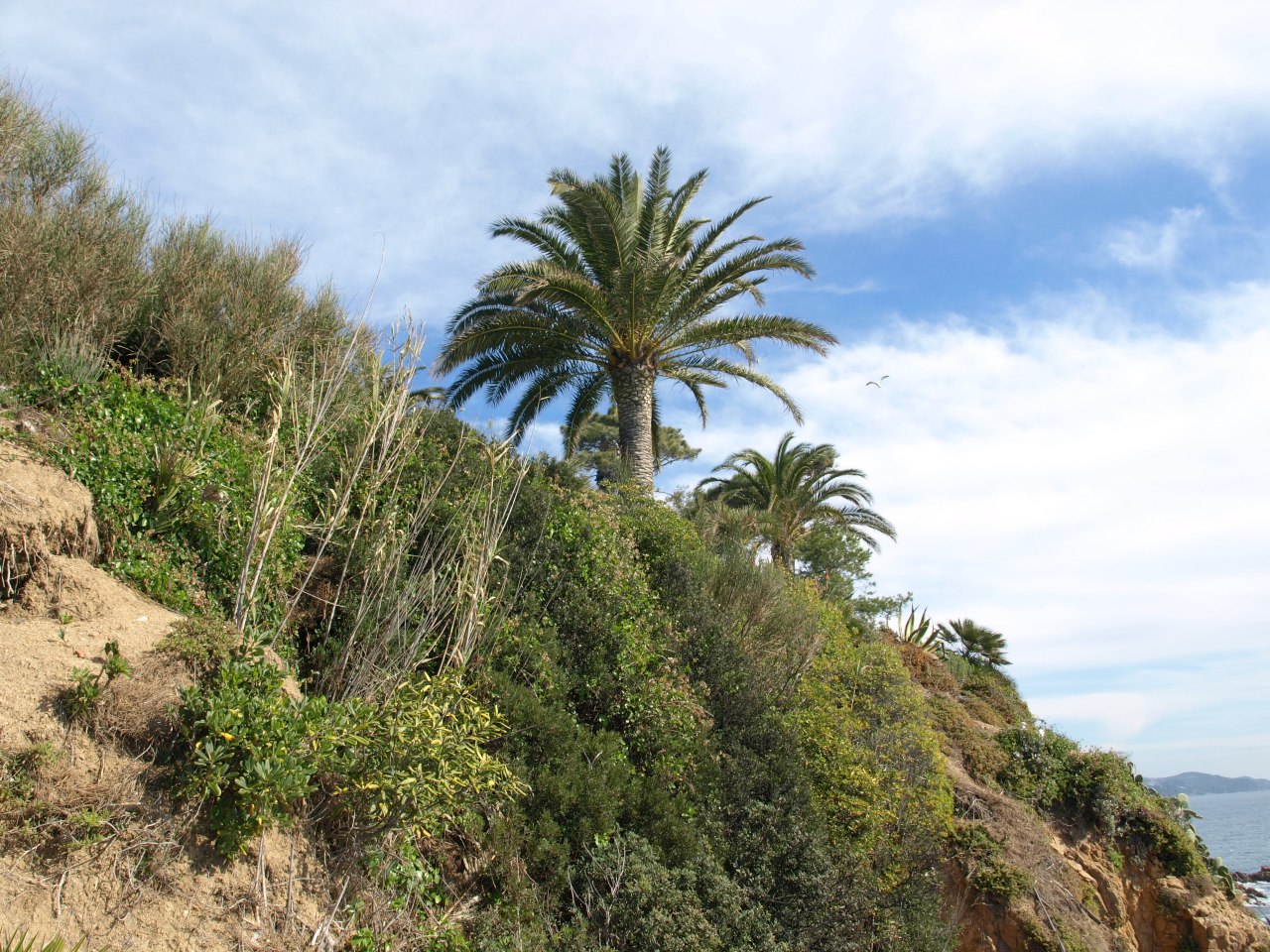 wiat-rozmaito-ci-hiszpania-ogr-d-botaniczny-mar-i-murtra