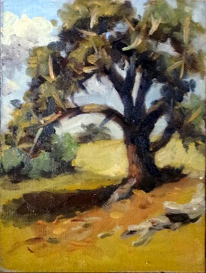 Oil painting of a manna gum in bright sunlight, with dry grass and trees in the distance.