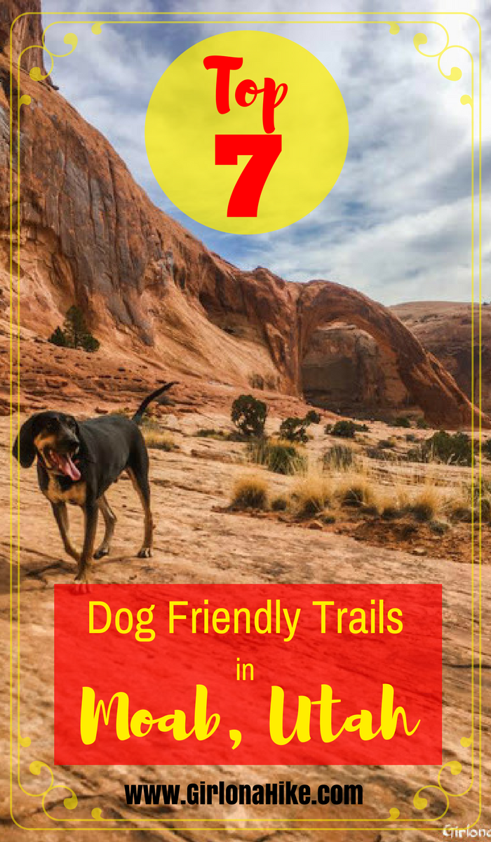 Dog Friendly K Near Me Dog Friendly K Near Me
