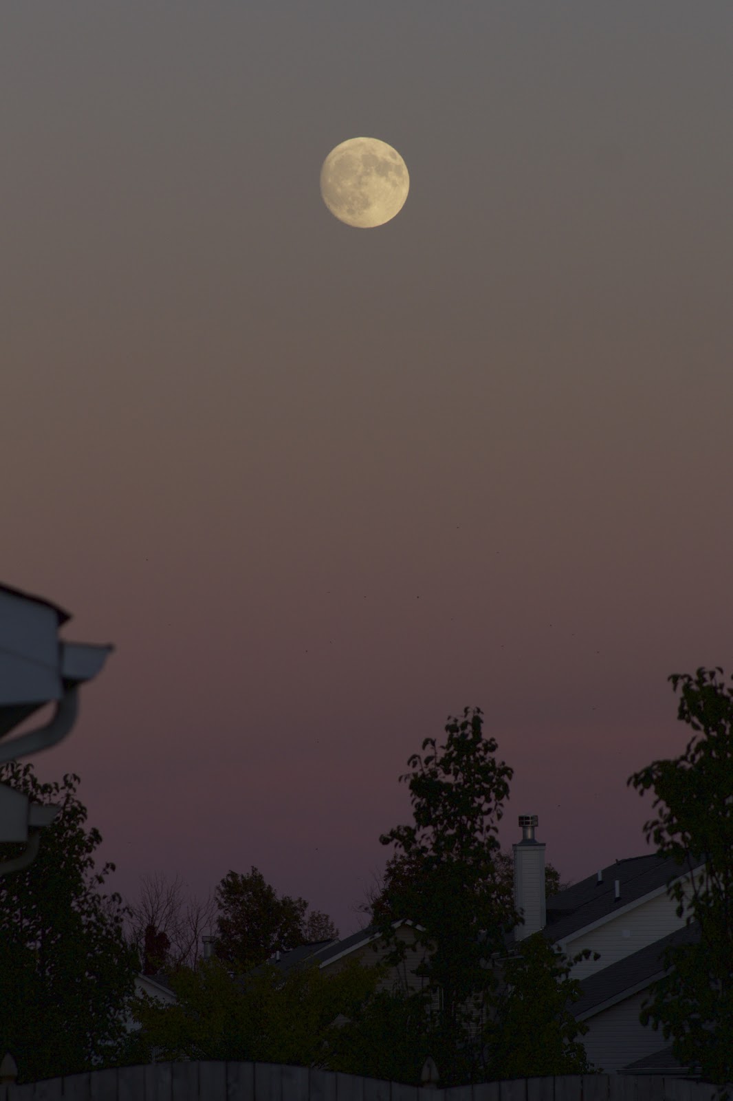 Hunter's Moon Putting Out the Fall Vibes [Stellar Neophyte Astronomy Blog]