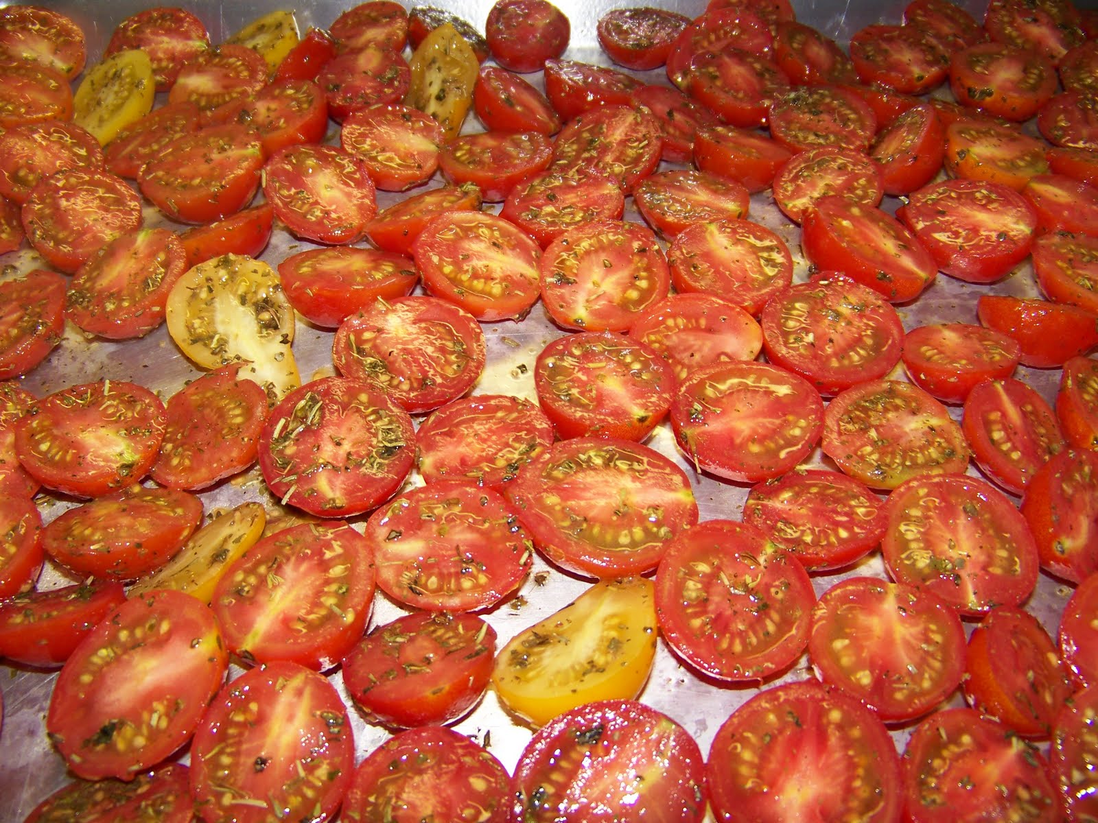 Томат Овен. Saladette / ROMA or Plum Type Tomato Iraq.