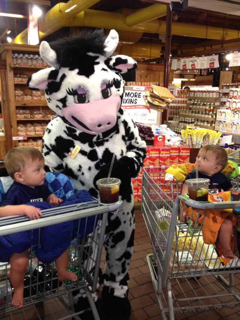 When Tara Met Blog Boys first trip to Stew Leonard's and Crodos