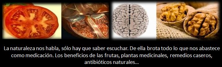 -- El beneficio de los alimentos naturales --