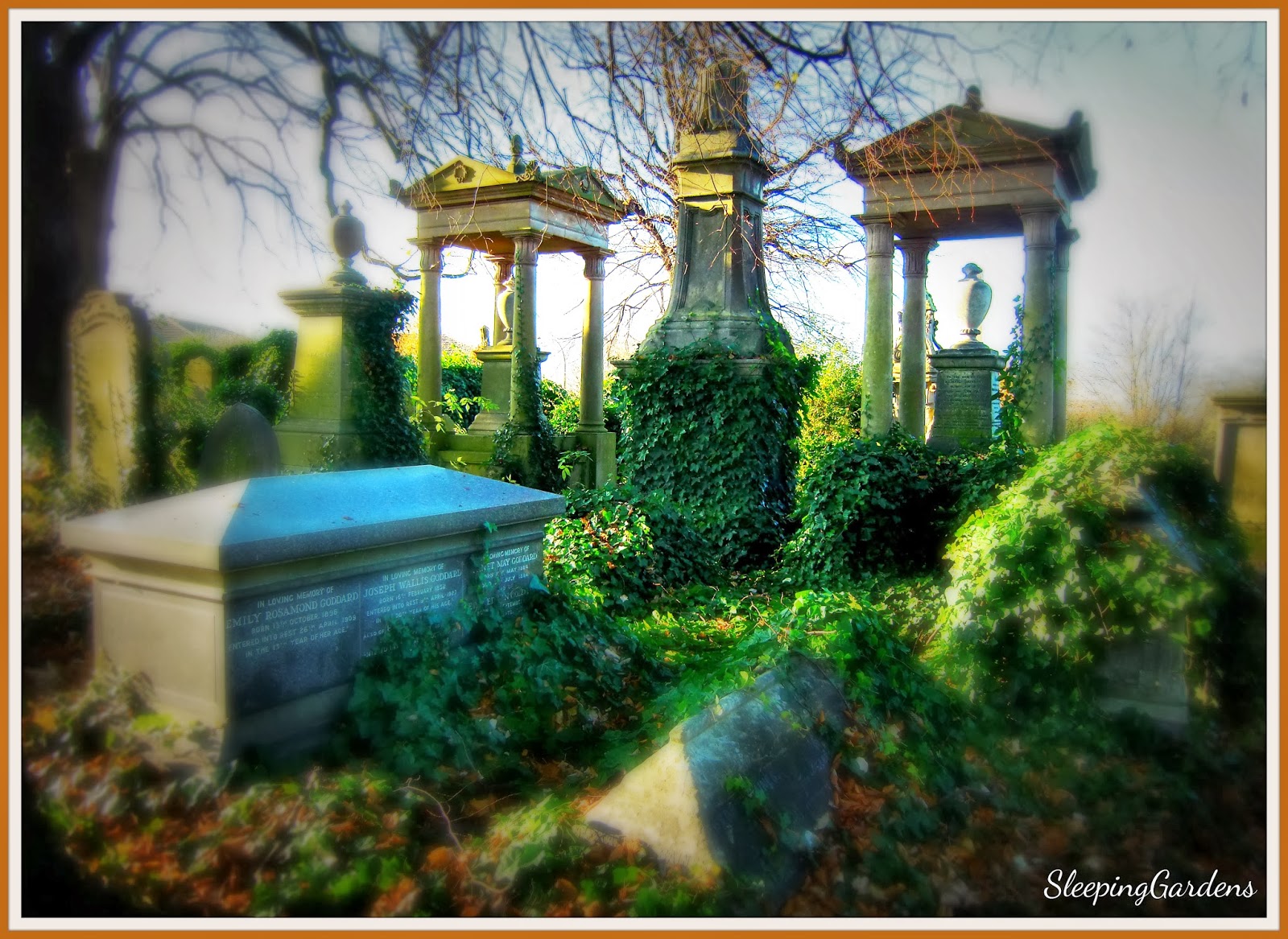 Sleeping Gardens Silent Sunday Cemetery Scapes Welford Road Cemetery