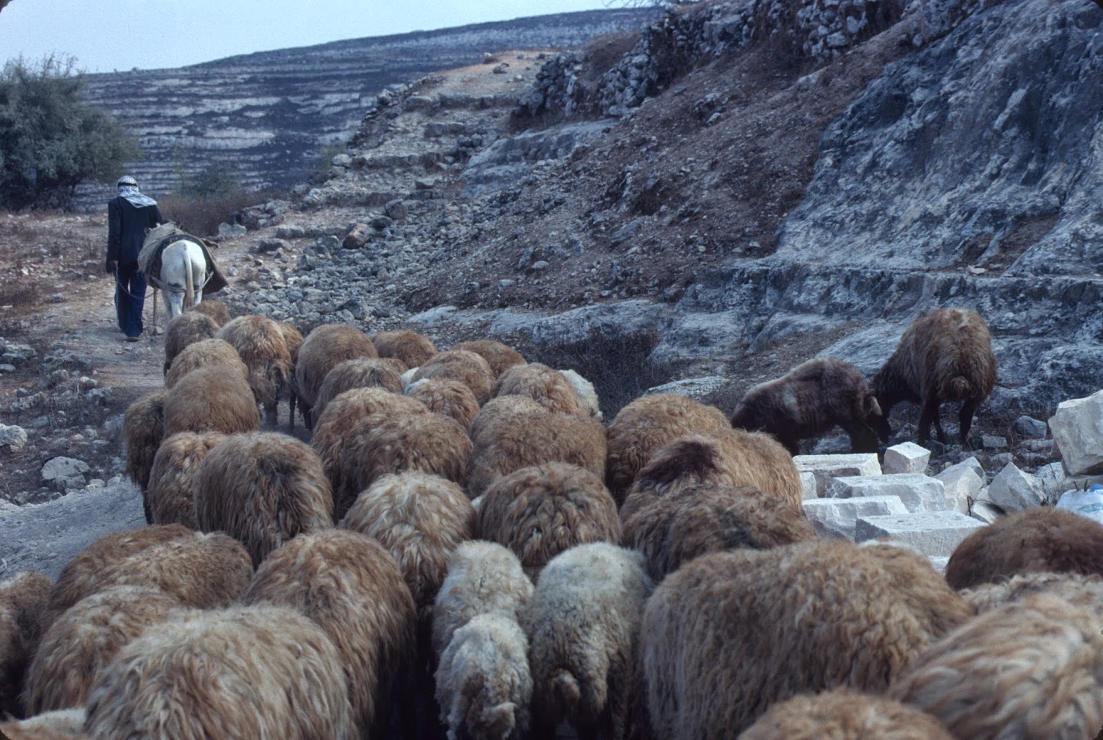 Beit Emmett: The Setting and Story of Christmas