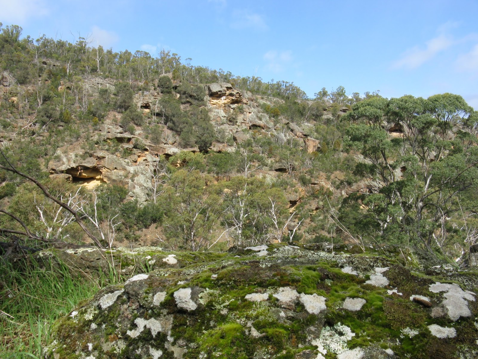 Heathy Hills Nature Reserve