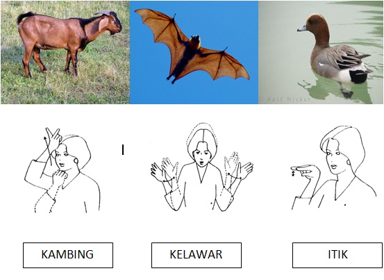 .BAHASA ISYARAT KOMUNIKASI: October 2011